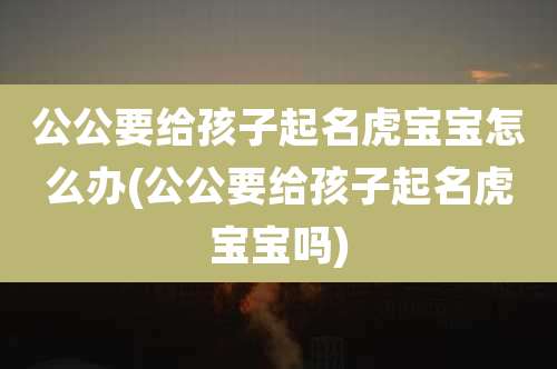 公公要给孩子起名虎宝宝怎么办(公公要给孩子起名虎宝宝吗)