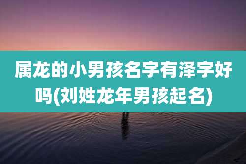 属龙的小男孩名字有泽字好吗(刘姓龙年男孩起名)