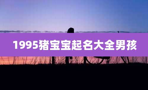 1995猪宝宝起名大全男孩