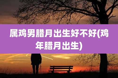 属鸡男腊月出生好不好(鸡年腊月出生)