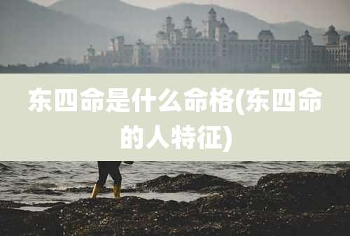 东四命是什么命格(东四命的人特征)
