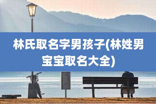 林氏取名字男孩子(林姓男宝宝取名大全)