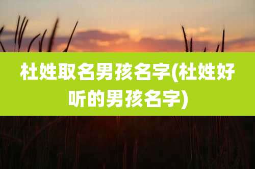 杜姓取名男孩名字(杜姓好听的男孩名字)