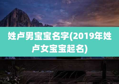 姓卢男宝宝名字(2019年姓卢女宝宝起名)