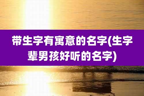 带生字有寓意的名字(生字辈男孩好听的名字)