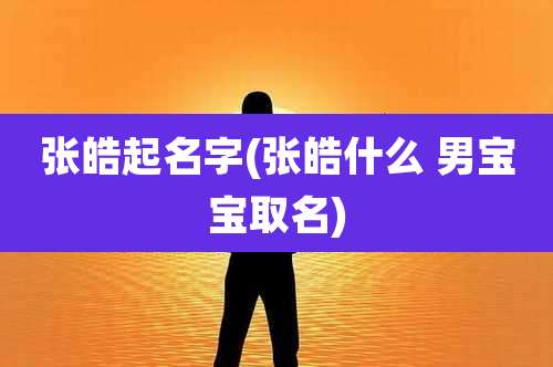 张皓起名字(张皓什么 男宝宝取名)