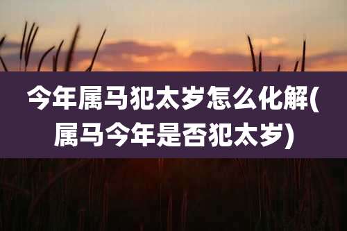 今年属马犯太岁怎么化解(属马今年是否犯太岁)
