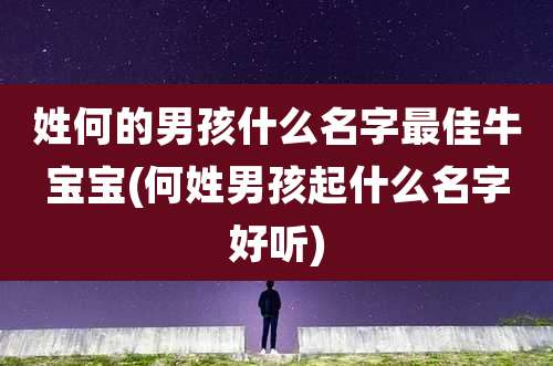 姓何的男孩什么名字最佳牛宝宝(何姓男孩起什么名字好听)