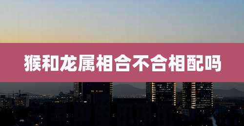 猴和龙属相合不合相配吗