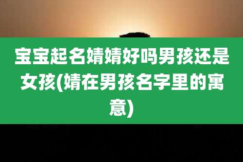 宝宝起名婧婧好吗男孩还是女孩(婧在男孩名字里的寓意)
