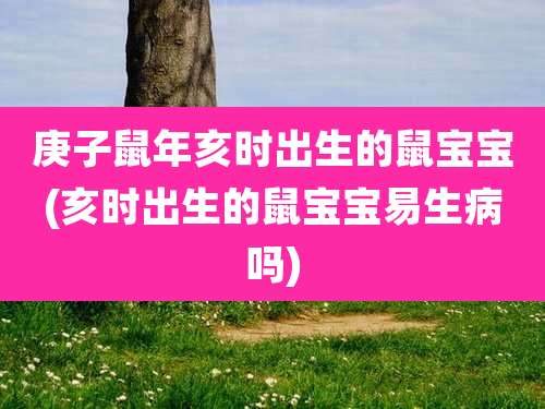 庚子鼠年亥时出生的鼠宝宝(亥时出生的鼠宝宝易生病吗)
