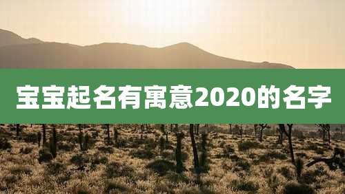 宝宝起名有寓意2020的名字