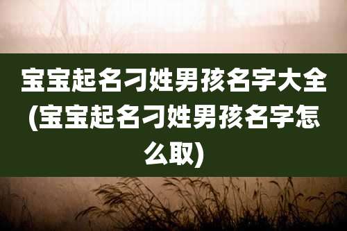 宝宝起名刁姓男孩名字大全(宝宝起名刁姓男孩名字怎么取)
