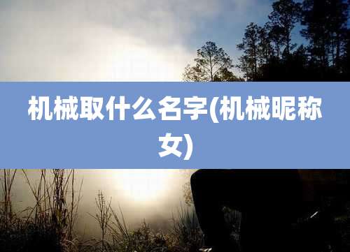 机械取什么名字(机械昵称女)