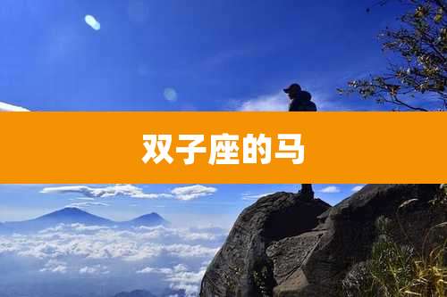 双子座的马