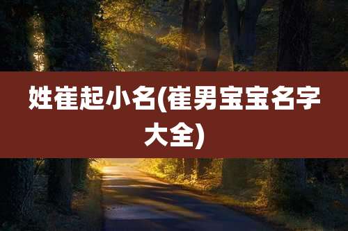 姓崔起小名(崔男宝宝名字大全)