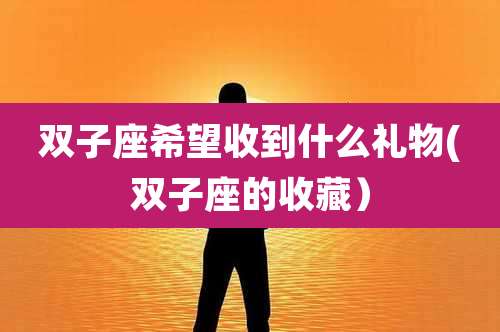 双子座希望收到什么礼物(双子座的收藏)