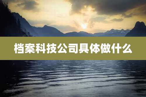 档案科技公司具体做什么