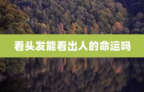 看头发能看出人的命运吗