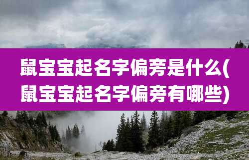 鼠宝宝起名字偏旁是什么(鼠宝宝起名字偏旁有哪些)
