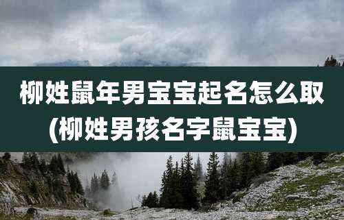柳姓鼠年男宝宝起名怎么取(柳姓男孩名字鼠宝宝)