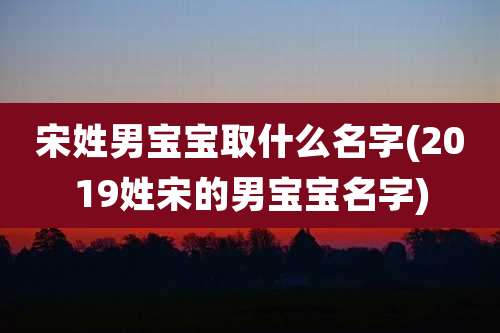 宋姓男宝宝取什么名字(2019姓宋的男宝宝名字)