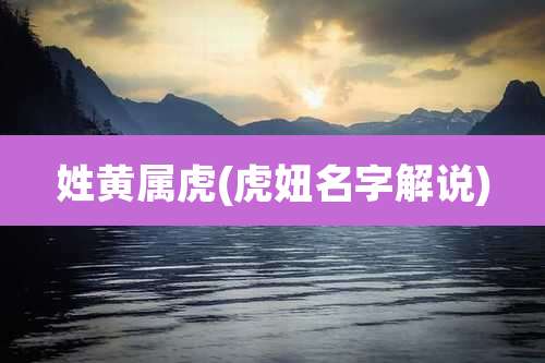 姓黄属虎(虎妞名字解说)