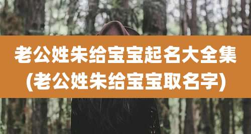 老公姓朱给宝宝起名大全集(老公姓朱给宝宝取名字)