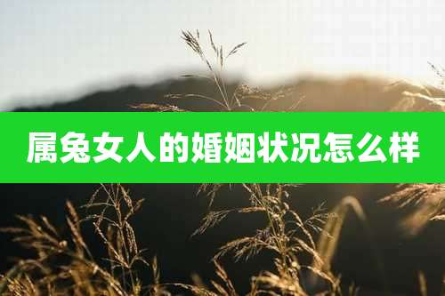 属兔女人的婚姻状况怎么样