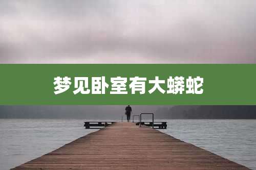 梦见卧室有大蟒蛇
