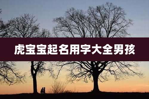 虎宝宝起名用字大全男孩