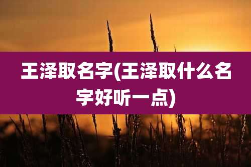 王泽取名字(王泽取什么名字好听一点)