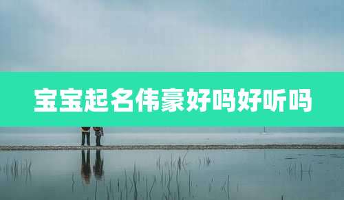 宝宝起名伟豪好吗好听吗