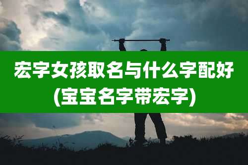 宏字女孩取名与什么字配好(宝宝名字带宏字)