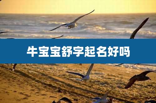 牛宝宝舒字起名好吗