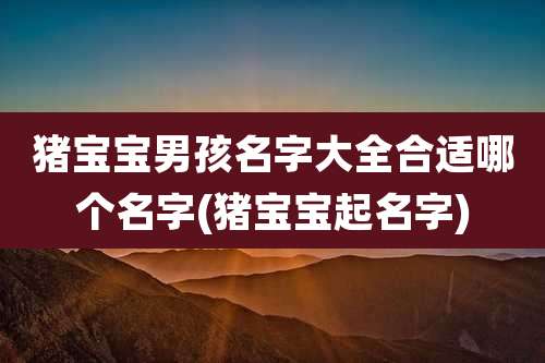 猪宝宝男孩名字大全合适哪个名字(猪宝宝起名字)