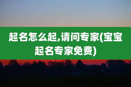 起名怎么起,请问专家(宝宝起名专家免费)