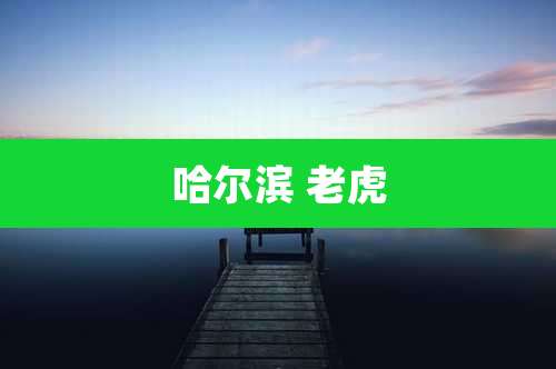 哈尔滨 老虎