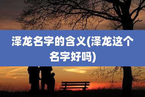泽龙名字的含义(泽龙这个名字好吗)