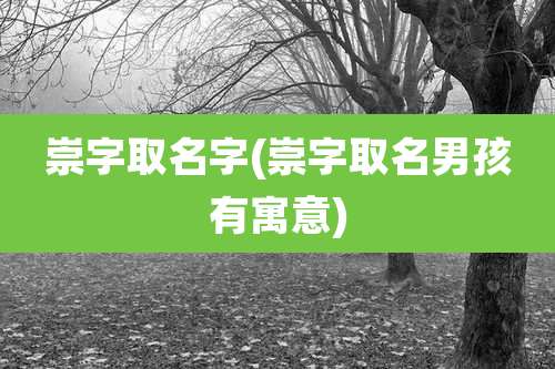 崇字取名字(崇字取名男孩有寓意)