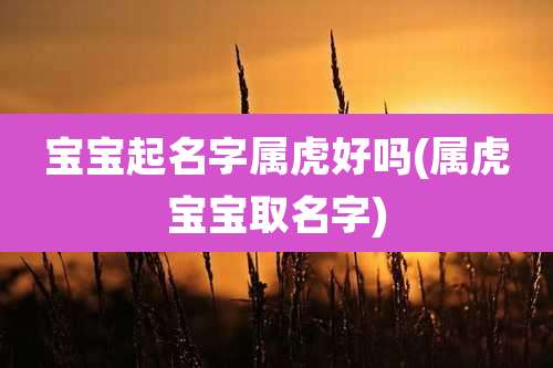 宝宝起名字属虎好吗(属虎宝宝取名字)