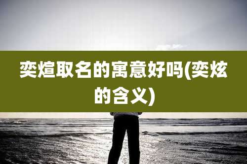 奕煊取名的寓意好吗(奕炫的含义)