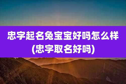 忠字起名兔宝宝好吗怎么样(忠字取名好吗)