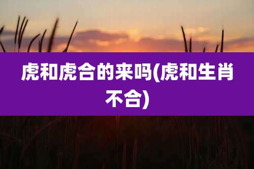 虎和虎合的来吗(虎和生肖不合)