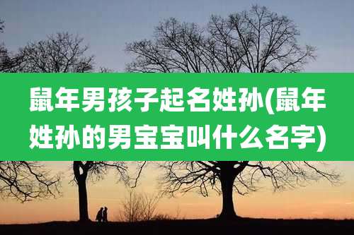 鼠年男孩子起名姓孙(鼠年姓孙的男宝宝叫什么名字)