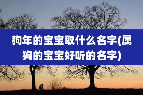 狗年的宝宝取什么名字(属狗的宝宝好听的名字)