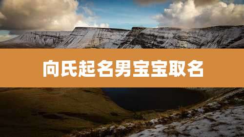 向氏起名男宝宝取名