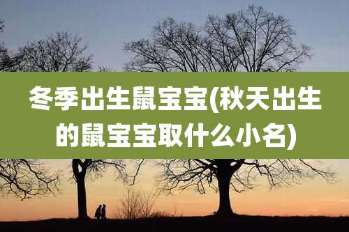 冬季出生鼠宝宝(秋天出生的鼠宝宝取什么小名)