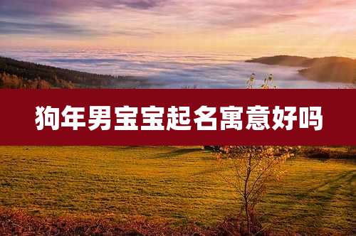 狗年男宝宝起名寓意好吗