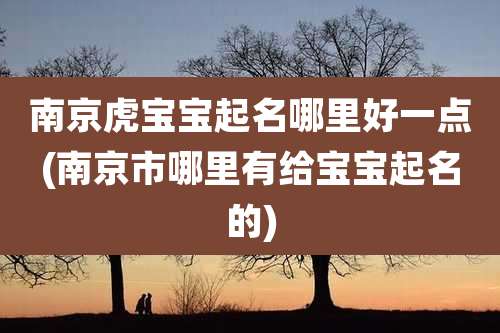 南京虎宝宝起名哪里好一点(南京市哪里有给宝宝起名的)